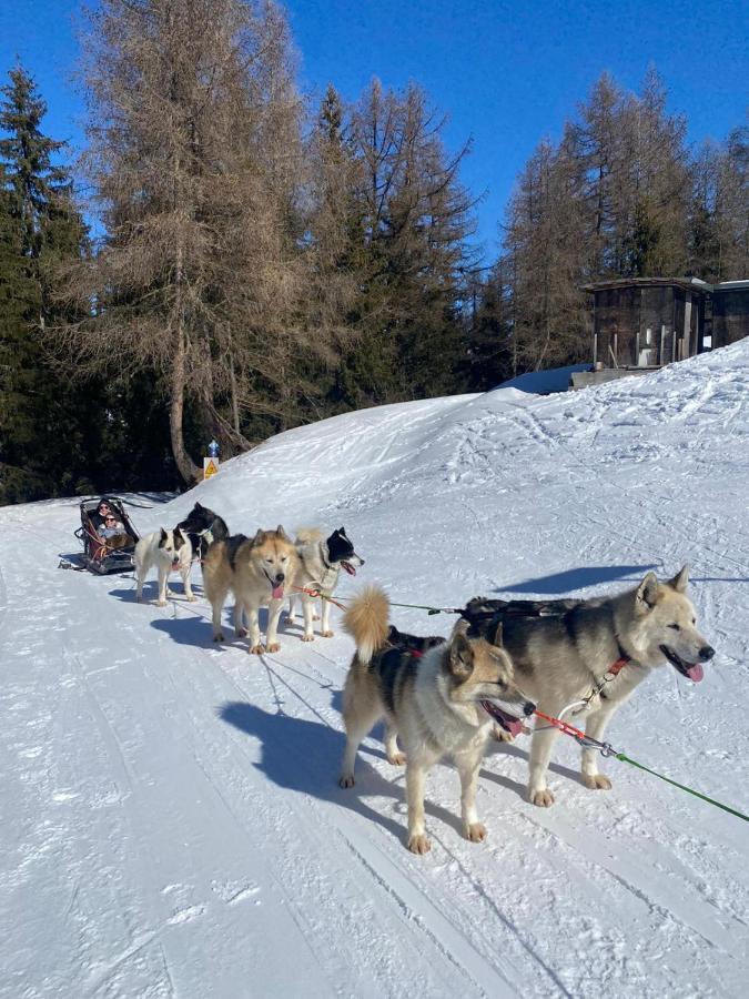 Plagne Bellecote - 5 Pers - Vue Pistes - Acces Piscine Chauffee Lejlighed La Plagne Eksteriør billede